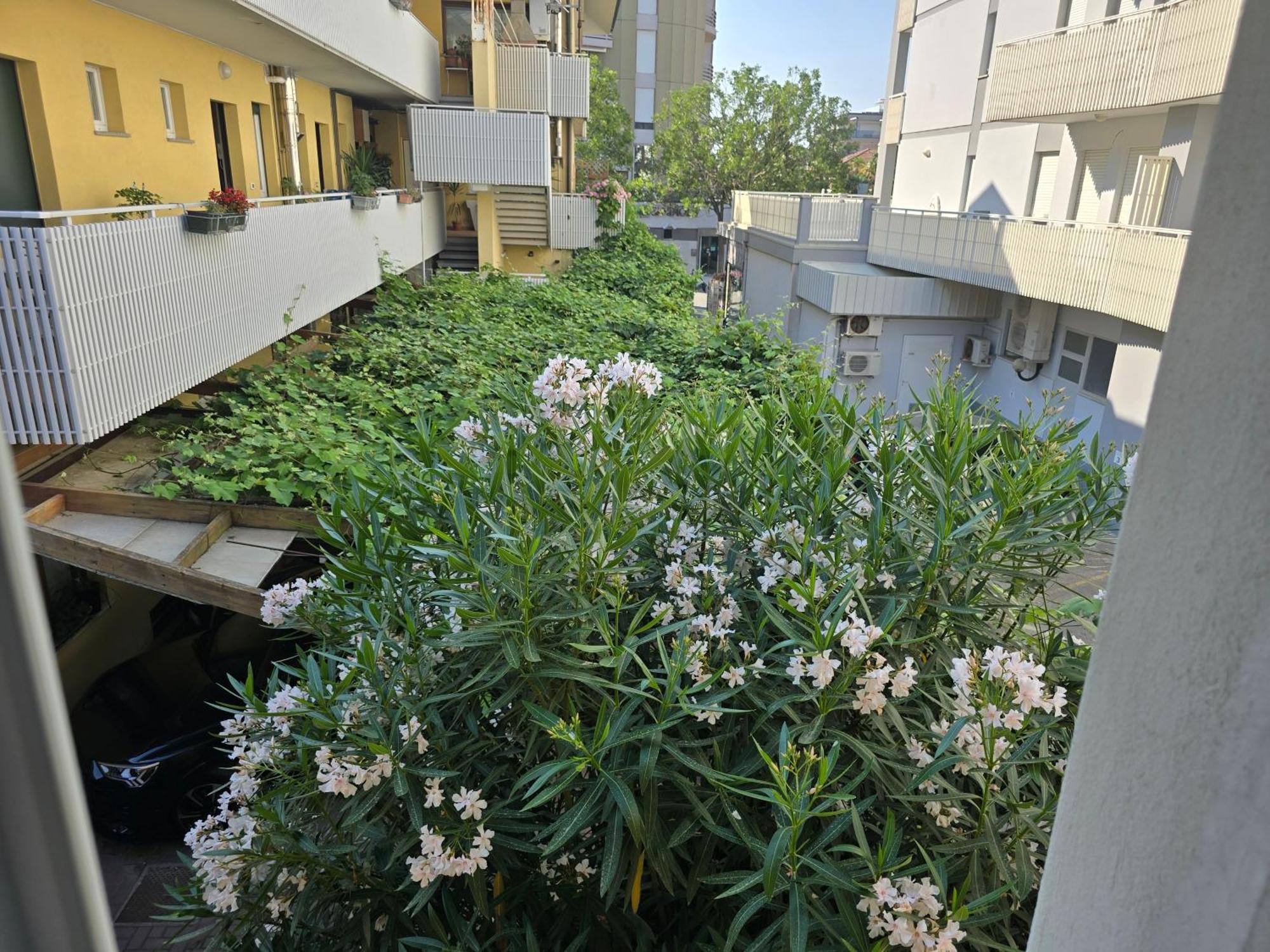 Villa Nerina Apartment Lignano Sabbiadoro Eksteriør billede